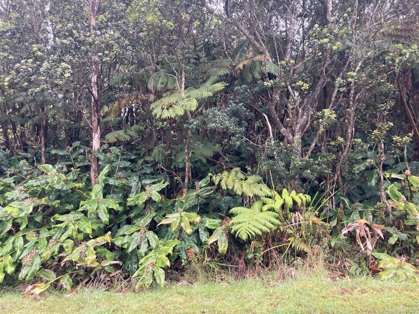 1 OF 2 LOTS BACK TO BACK: PERFECT FOR CONTRACTORS,OHANA - photo 2