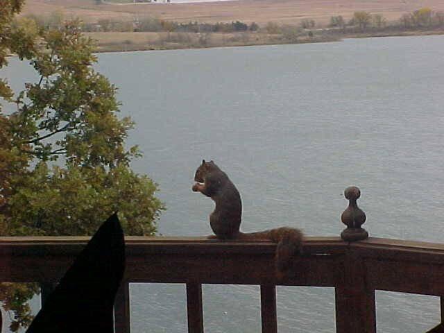 Lake Wabaunsee, in the heart of the Kansas Flint Hills, is a - photo 20