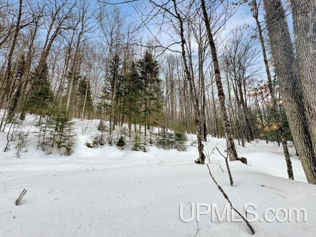 Bring your vision to life with this 1.05 acre parcel located - photo 11