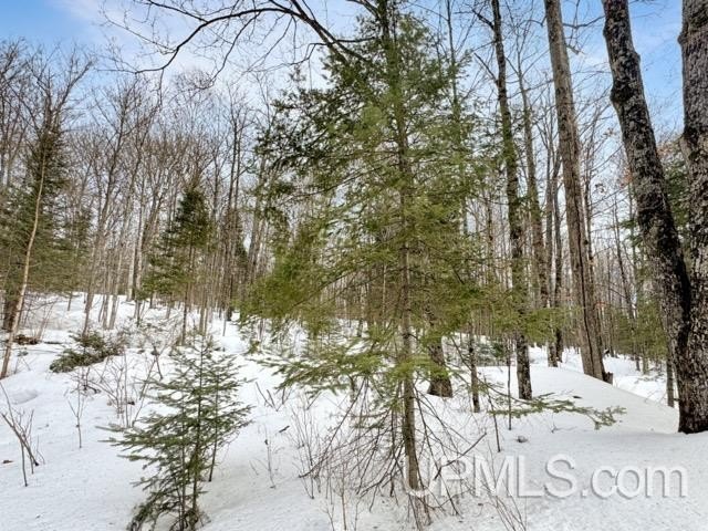 Bring your vision to life with this 1.05 acre parcel located - photo 12