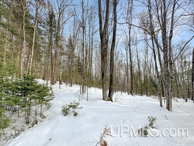 Bring your vision to life with this 1.05 acre parcel located - photo 14