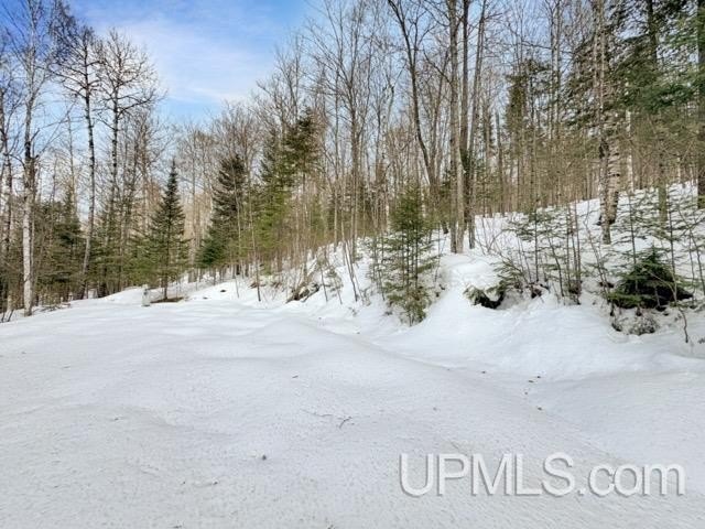 Bring your vision to life with this 1.05 acre parcel located - photo 15