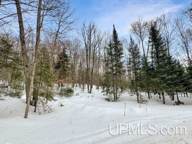 Bring your vision to life with this 1.05 acre parcel located - photo 16