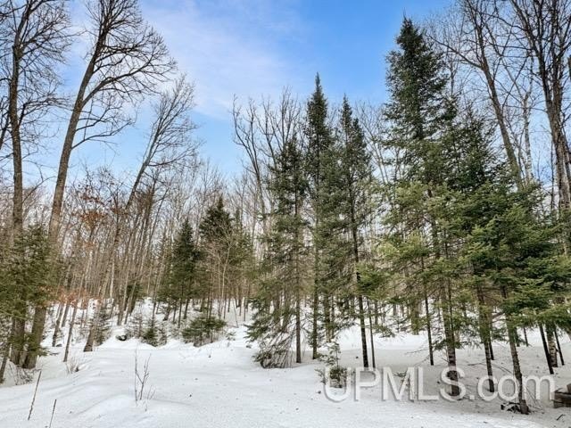 Bring your vision to life with this 1.05 acre parcel located - photo 17