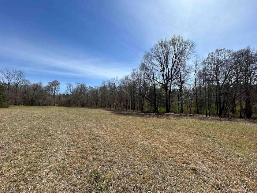 WELCOME TO EAGLES LANDING ESTATES-AN EXCEPTIONAL NEW SUBDIVISION - photo 3