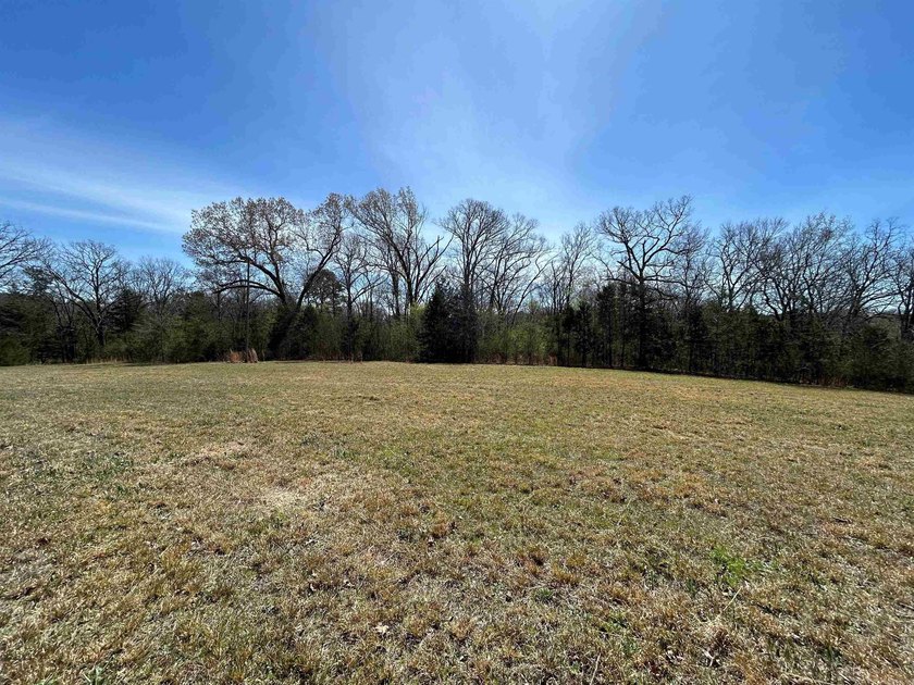 WELCOME TO EAGLES LANDING ESTATES-AN EXCEPTIONAL NEW SUBDIVISION - photo 5