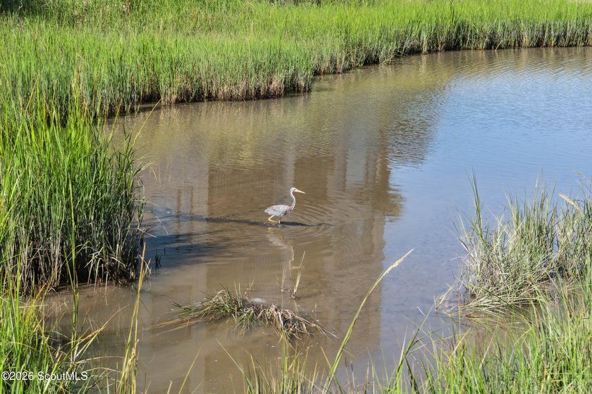 Beautiful marsh and river views from this updated Riverwatch - photo 46