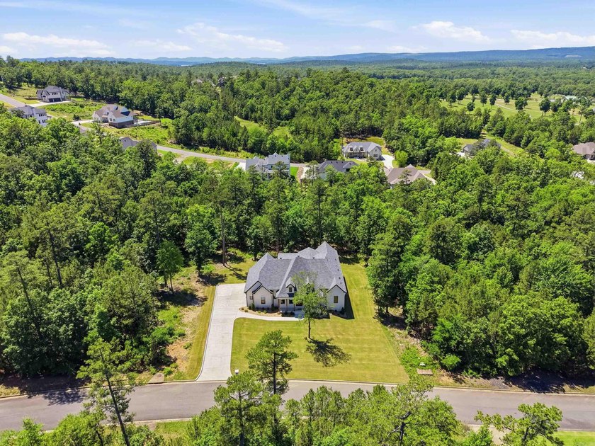 Nestled on a beautifully private homesite in the highly - photo 42