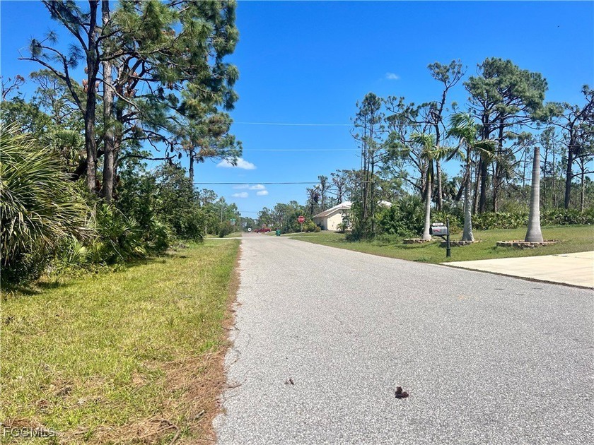 Beautiful lot offers a unique opportunity to build the home of - photo 2