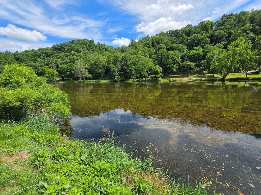 Enjoy river life in the Blue Ridge Mountains with this nice - photo 5