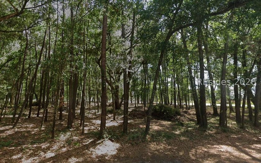 Rare opportunity to own a spacious, wooded corner homesite in - photo 5