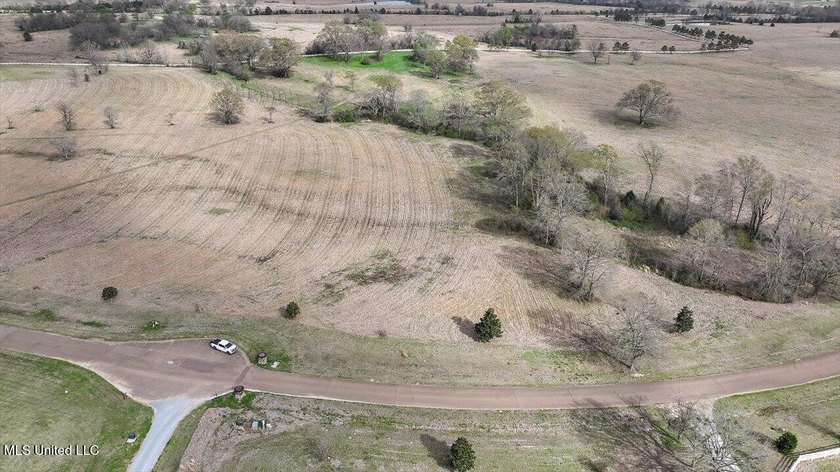 Come build your custom, dream home on this gorgeous, 4.40 acre - photo 2