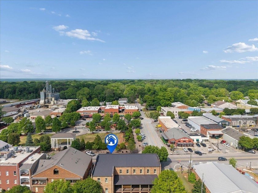 Charming downtown Madison condo located directly across from - photo 22