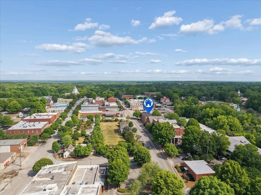 Charming downtown Madison condo located directly across from - photo 28
