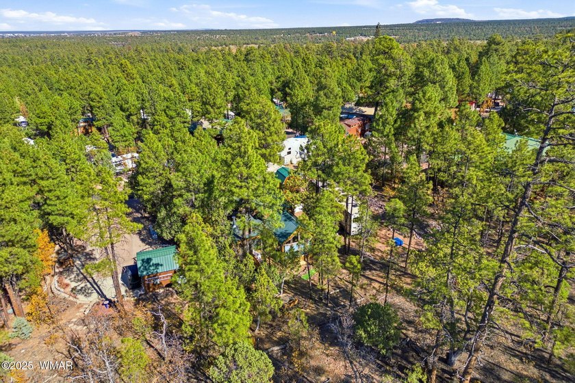 Nestled on a premium, private lot surrounded by towering pines - photo 28