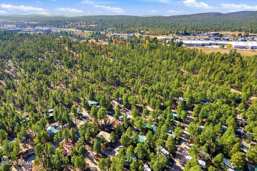 Nestled on a premium, private lot surrounded by towering pines - photo 31