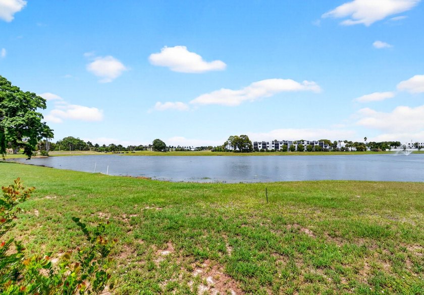 Spacious, beautifully updated and renovated 3-bed, 2-bath condo - photo 36