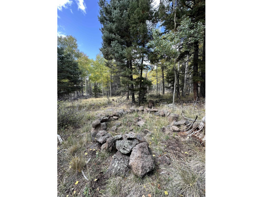 Grand lot with lots of potential to build that mountain getaway - photo 3