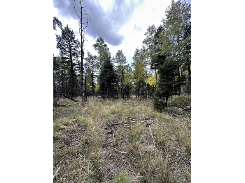 Grand lot with lots of potential to build that mountain getaway - photo 7