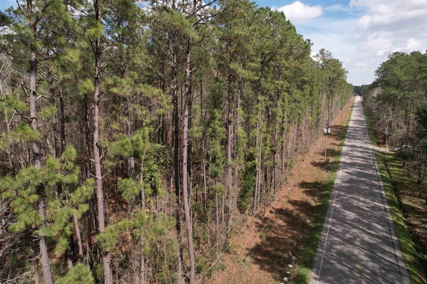 5.49 acres located on Pennyroyal Road in Georgetown, SC. Located - photo 2