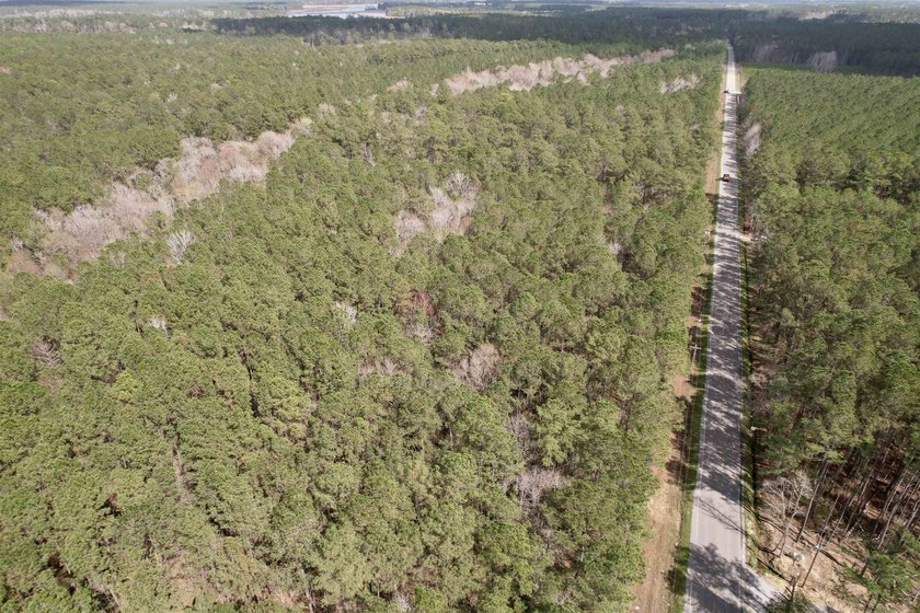 5.49 acres located on Pennyroyal Road in Georgetown, SC. Located - photo 3