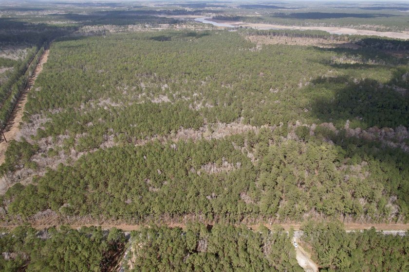 5.49 acres located on Pennyroyal Road in Georgetown, SC. Located - photo 6