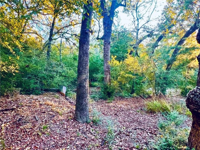 Discover your own private oasis on Lake Limestone! This is - photo 8