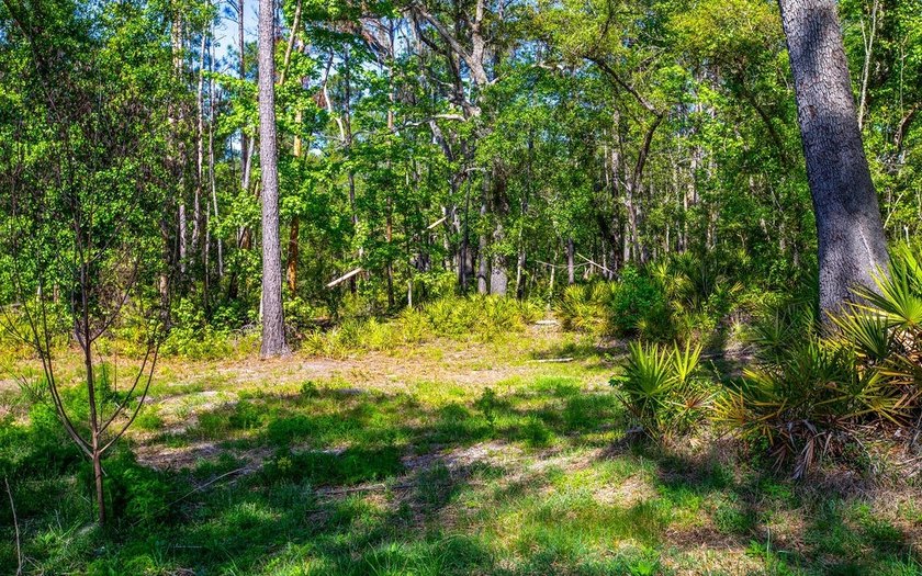 River front property with utilities! 7.97 acres on the Suwannee - photo 11