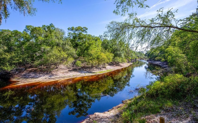 River front property with utilities! 7.97 acres on the Suwannee - photo 17
