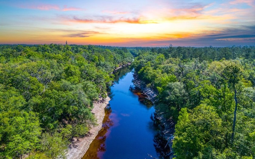 River front property with utilities! 7.97 acres on the Suwannee - photo 20