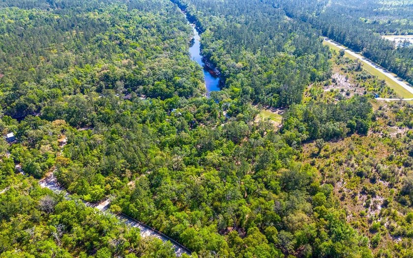 River front property with utilities! 7.97 acres on the Suwannee - photo 23