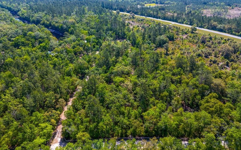 River front property with utilities! 7.97 acres on the Suwannee - photo 24