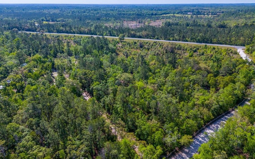 River front property with utilities! 7.97 acres on the Suwannee - photo 25