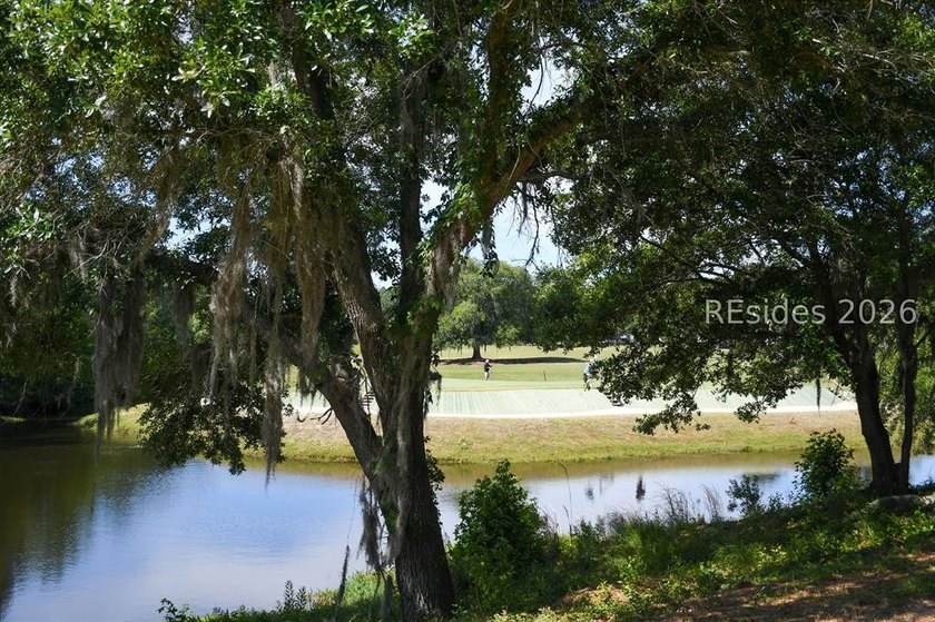 Gorgeous Franklin/Whitney model in Sun City Hilton Head. Loaded - photo 44