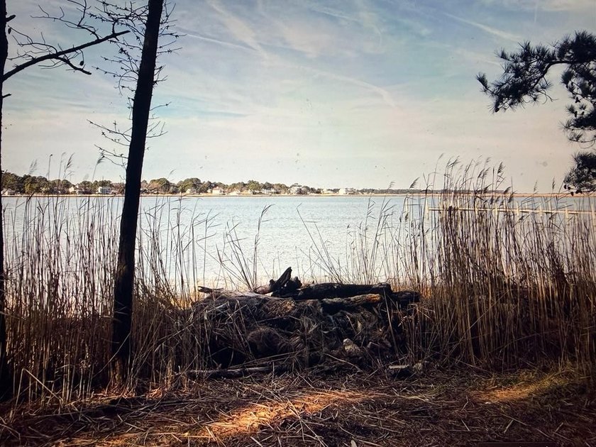 Build your dream coastal retreat on this .728-acre waterfront - photo 11
