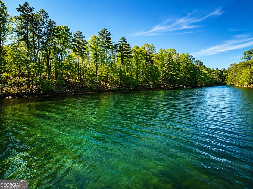 Build your dream lakefront retreat on this exceptional 1.09-acre - photo 13