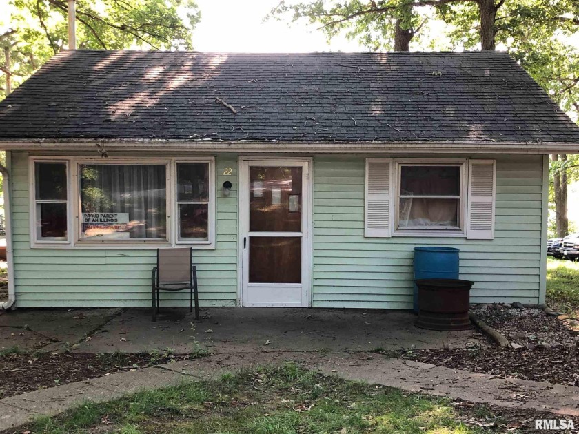 22 Gibson Lane, Pana, IL 62557, 2180278