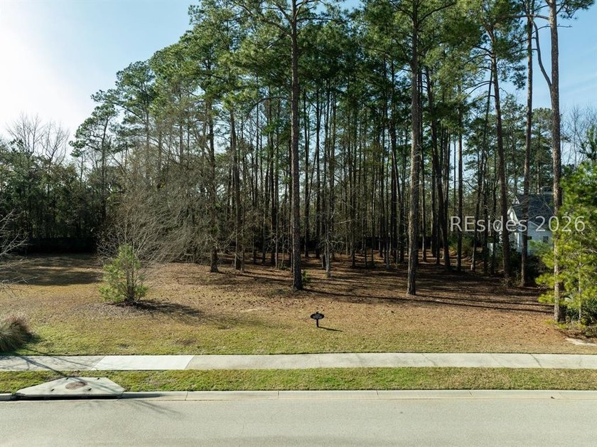 Build Your Dream Home! Discover one of the finest homesites - photo 5