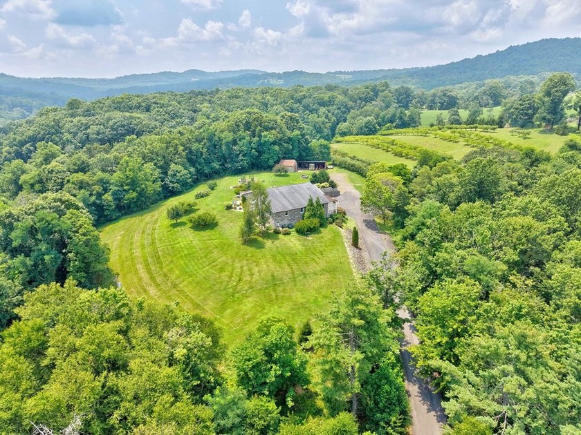 PRIVATE, GATED BLUE RIDGE MOUNTAIN ESTATE on 15.5 unrestricted - photo 3