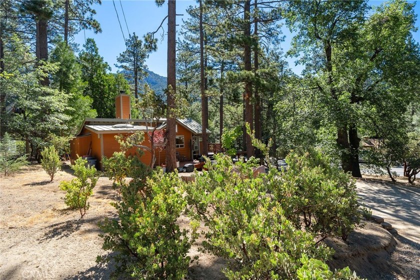 Experience the authentic soul of Idyllwild in this beautifully - photo 15