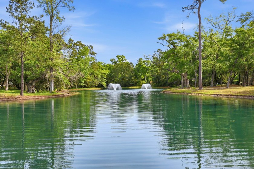 Discover the perfect setting to build your dream home at 116 - photo 9