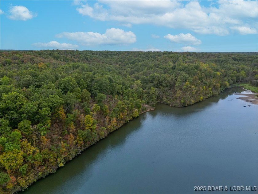 Introducing 25.5 +/- wooded acres with valuable lake frontage on - photo 13