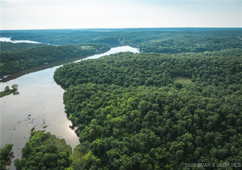 Introducing 25.5 +/- wooded acres with valuable lake frontage on - photo 15