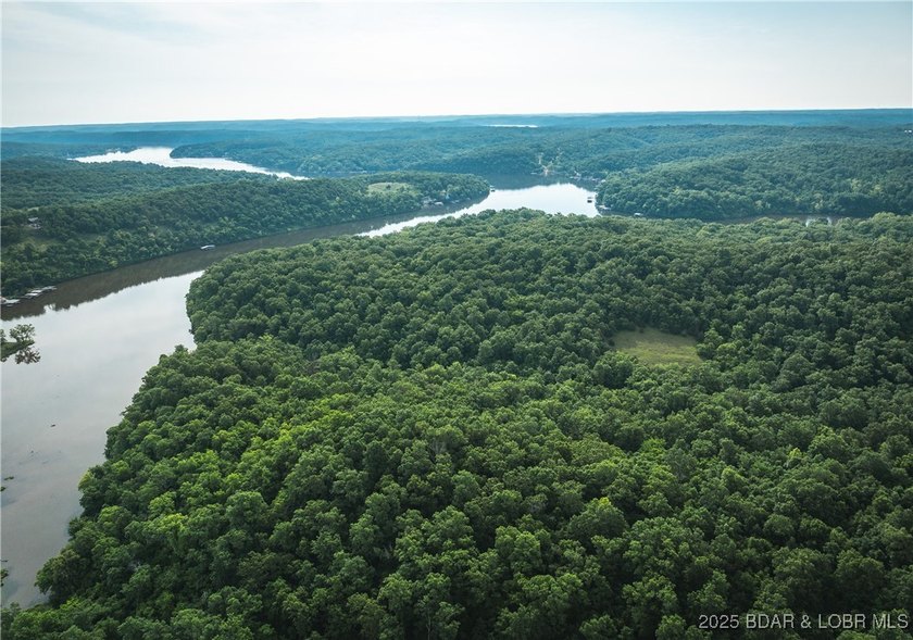 Introducing 25.5 +/- wooded acres with valuable lake frontage on - photo 16