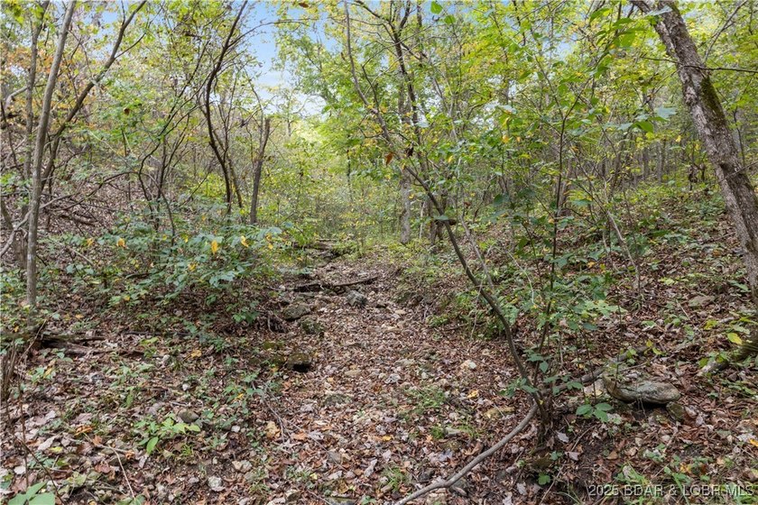 Introducing 25.5 +/- wooded acres with valuable lake frontage on - photo 17