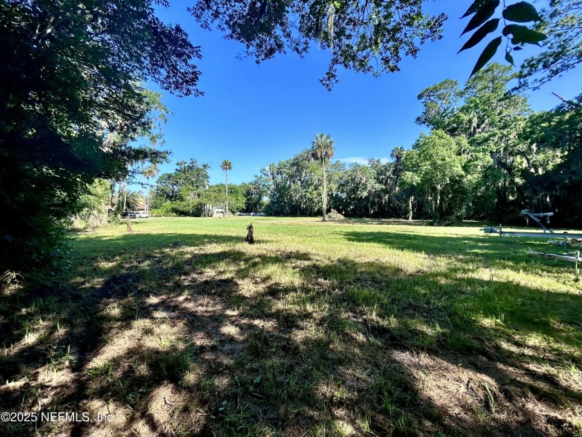 Rare opportunity to own over a half acre (.52 ac) in the Palm - photo 3