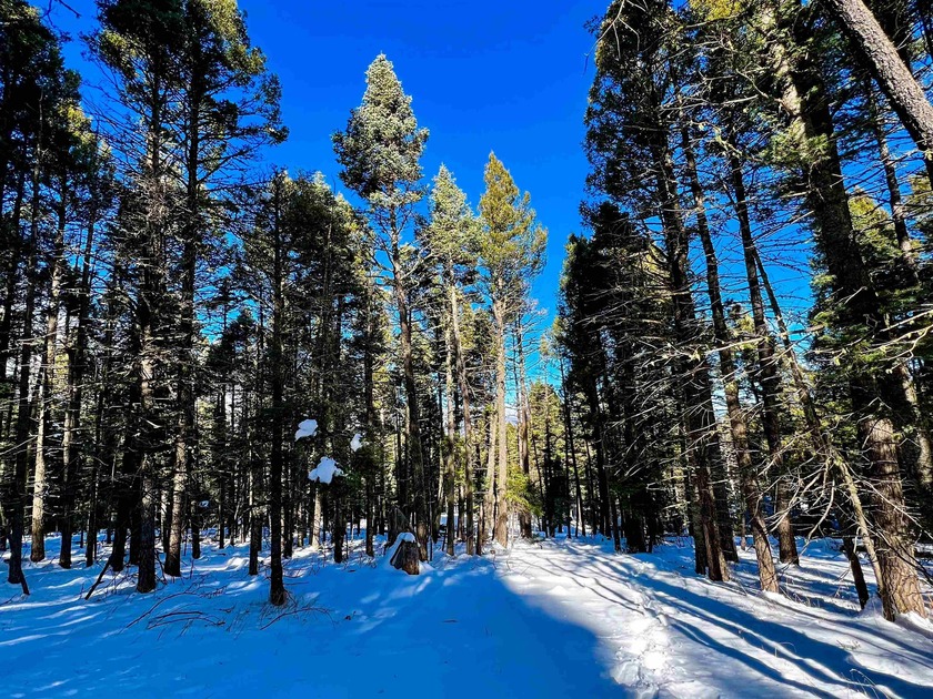 Great opportunity to build your mountain home in beautiful Angel - photo 3