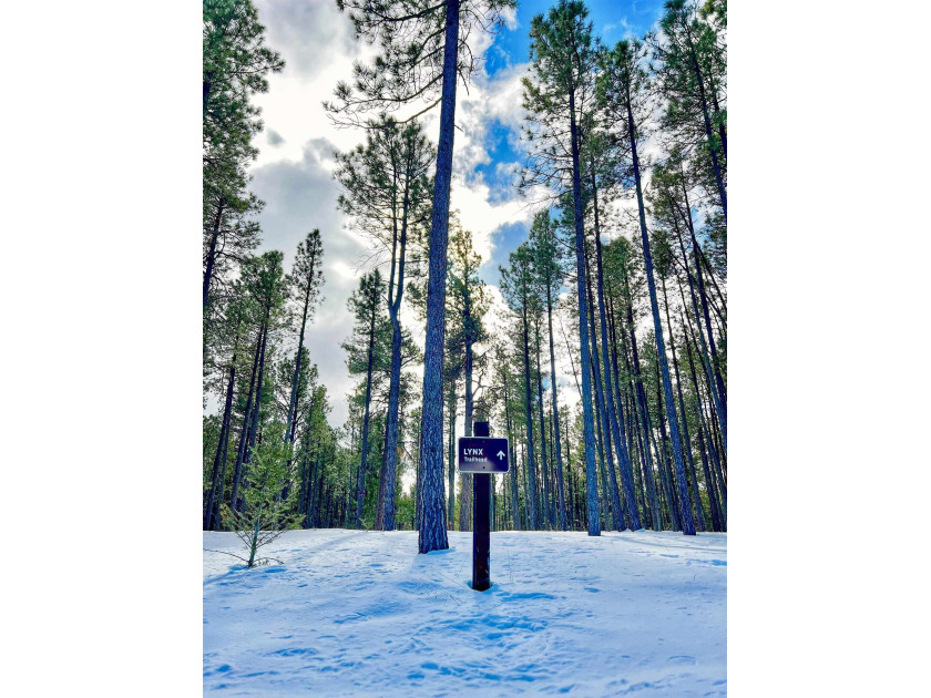 Great opportunity to build your mountain home in beautiful Angel - photo 5