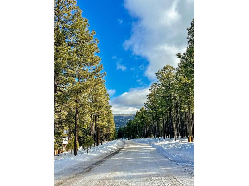 Great opportunity to build your mountain home in beautiful Angel - photo 6