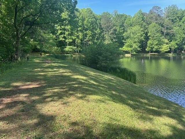 Located just minutes from I-20 and only 30 minutes to Atlanta - photo 36